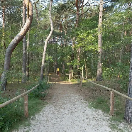 Pearl Turquoise Near The Sea With Free Parking By Renters Appartamento *